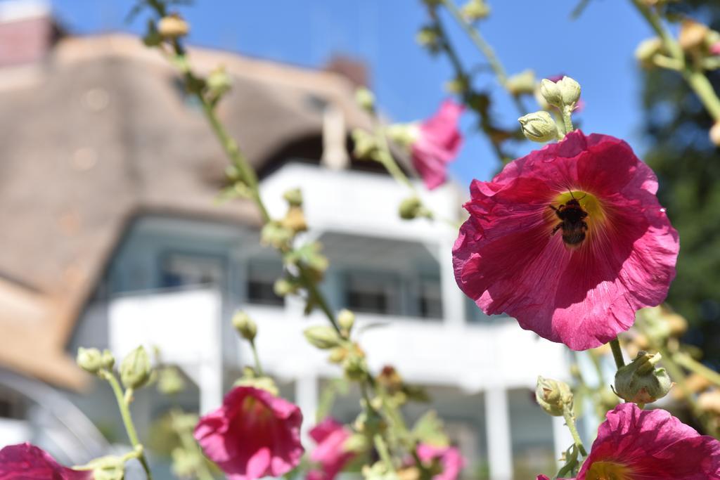 Romantik Hotel Fischerwiege Ahrenshoop Luaran gambar